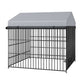 Outdoor Metal Dog Kennel with Roof (6.6&