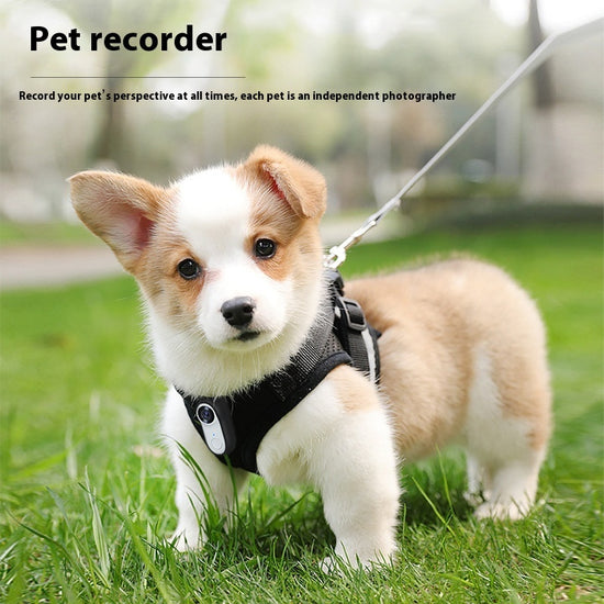 Mini HD Pet Thumb Camera
