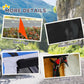 Pet Bike/Cargo Trailer