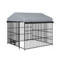 Outdoor Metal Dog Kennel with Roof (6.6&