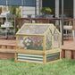 Wooden Cold Frame Greenhouse (Polycarbonate)