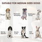 Dog Feeding Station with Hidden Bowls (White)