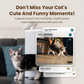Smart Automatic Cat Feeder with Camera