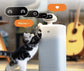 Smart Automatic Cat Feeder with Camera