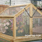 Wooden Cold Frame Greenhouse (Polycarbonate)