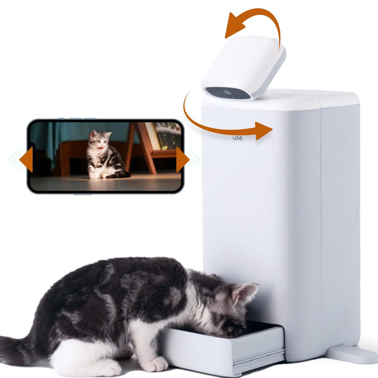 Smart Automatic Cat Feeder with Camera