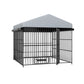 Outdoor Metal Dog Kennel with Roof (6.6&