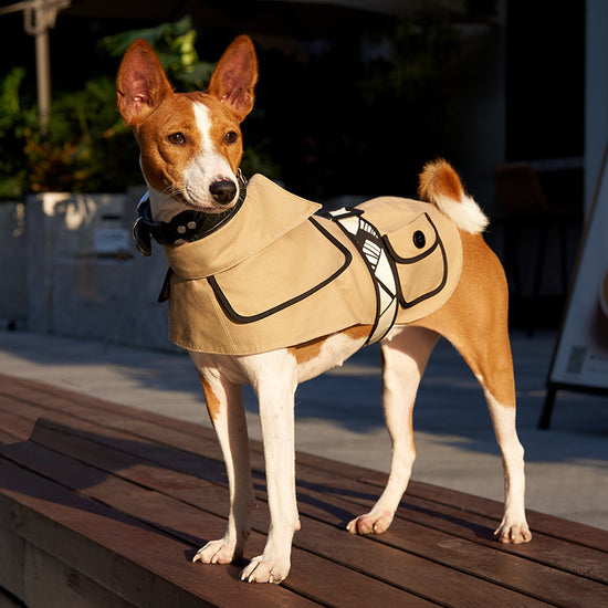 Camel Velcro Pet Windbreaker